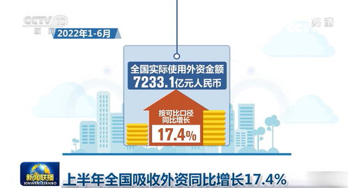 上半年全國(guó)吸收外資同比增長(zhǎng)17.4%，信息技術(shù)咨詢服務(wù)成亮點(diǎn)